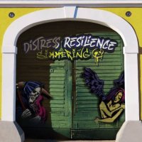 Distress Resilience - Simmering (2021) MP3