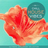 VA - Chill House Vibes Vol 1: Ultimate Chill House Collection (2021) MP3