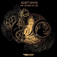 Adam Shiva - The Nature Of Life (2021) MP3