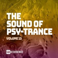 VA - The Sound Of Psy-Trance, Vol. 13 (2021) MP3