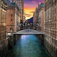 Wildation - Polarity (2021) MP3