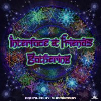 VA - Interface & Friends Gathering (2021) MP3
