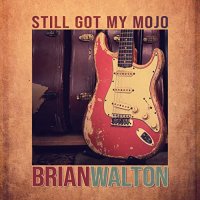 Brian Walton - Still Got My Mojo (2021) MP3