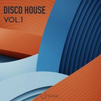 VA - Disco House, Vol.1 [Sound Exhibitions Records] (2021) MP3