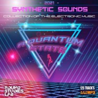 VA - A Quantum State: Synth Electronic Mix (2021) MP3