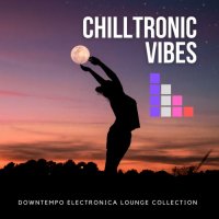 VA - Chilltronic Vibes [Downtempo Electronica Lounge Collection] (2021) MP3