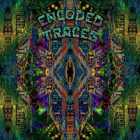 VA - Encoded Traces (2021) MP3