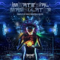 VA - Immaterial Manipulator (2021) MP3