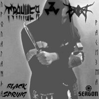  &  & Black Spring & Seagon -   (2021) MP3