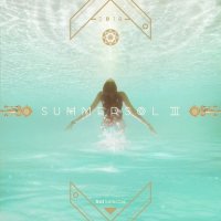VA - Summer Sol III (2018) MP3