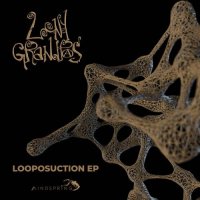 Looney Grandpas - Looposuction (2021) MP3