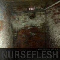 Nurseflesh - Music Made of Nothing (2021) MP3