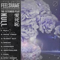 Feelshame - Null (2021) MP3