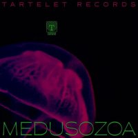 VA - Medusozoa (2021) MP3