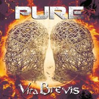 Pure - Vita Brevis (2021) MP3