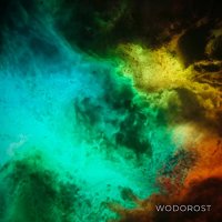 Wodorost - Wodorost (2021) MP3