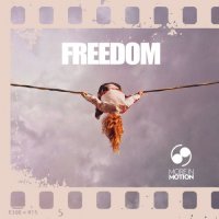 VA - Freedom (2021) MP3