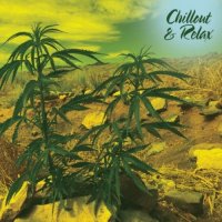 VA - Chillout & Relax (2021) MP3