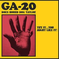 GA-20 - Try It...You Might Like It: GA-20 Does Hound Dog Taylor (2021) MP3