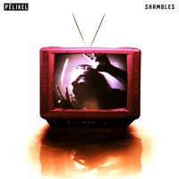 Pelikel - Shambles (2021) MP3