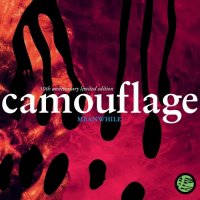 Camouflage - Meanwhile [30th Anniversary Limited Edition] (2CD) (2021) MP3