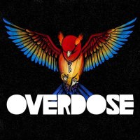 Overdose - S&#322;owik (2021) MP3