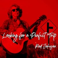 Rod Johnson - Looking For A Perfect Trip (2021) MP3