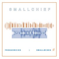 Small Chief - Frequencies (2021) MP3
