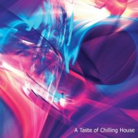 VA - A Taste of Chilling House (2021) MP3