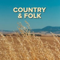 VA - Country & Folk (2021) MP3