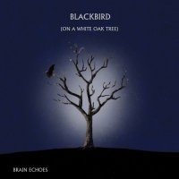 Brain Echoes - Blackbird [On A White Oak Tree] (2021) MP3