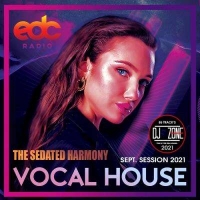 VA - The Sedated Harmony (2021) MP3