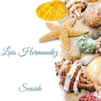 Luis Hermandez - Seaside (2021) MP3