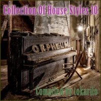 VA - Collection Of House Styles 10 [Compiled by tokarilo] (2021) MP3