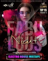 VA - Fabulous Night: Electro House Mixtape (2021) MP3