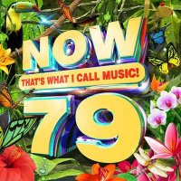 VA - NOW That's What I Call Music [Vol. 79] (2021) MP3