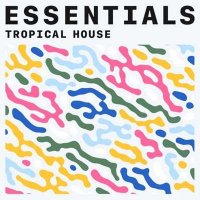 VA - Tropical House Essentials (2021) MP3
