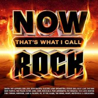 VA - Now That's What I Call Rock [4CD] (2021) MP3