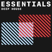 VA - Deep House Essentials (2021) MP3