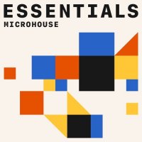VA - Microhouse Essentials (2021) MP3