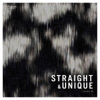 VA - Straight & Unique Issue 35 (2021) MP3
