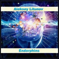 Aleksey Litunov - Endorphins (2021) MP3