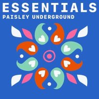 VA - Paisley Underground Essentials (2021) MP3