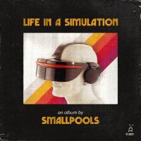 Smallpools - Life In A Simulation (2021) MP3