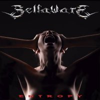 Selfaware - Entropy (2021) MP3