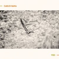 Carlos Badia - Voo (2021) MP3