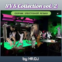 VA - SVS Collection vol.2 by MR.DJ (2018) MP3