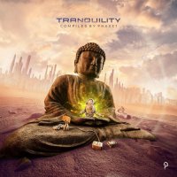 VA - Tranquility (2021) MP3