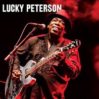 Lucky Peterson - Collection, 8 Albums (1989-2016) MP3