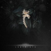 PLEM - Labyrinth (2021) MP3